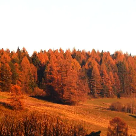 Caloroczne Aleksander Kacwin