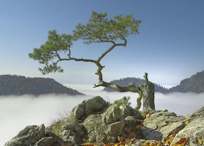 بيت خشبي Caloroczne Aleksander Kacwin