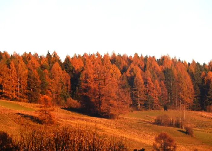 Caloroczne Aleksander Kacwin